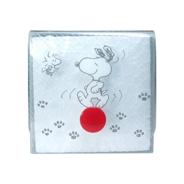 Snoopy Diary Stampcase