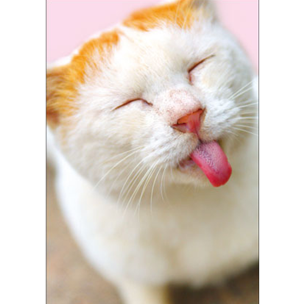 Pinup Japan Post Card Cat Perot
