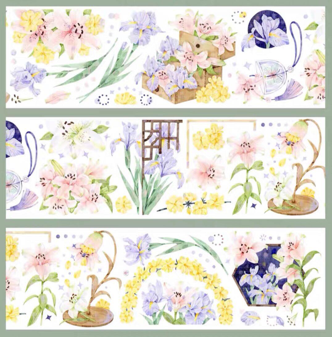 Wines Studio Pet Sampler