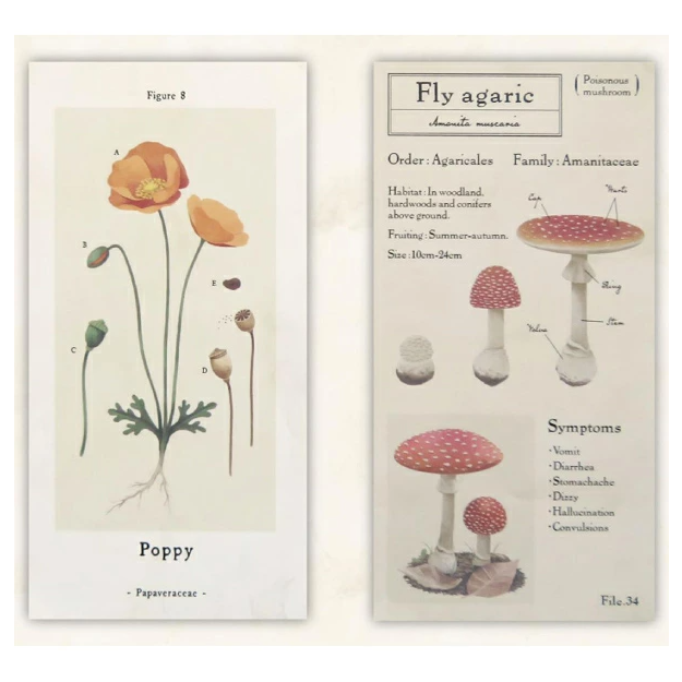 Kyowa Slim Design Paper Antique 32 Sheets