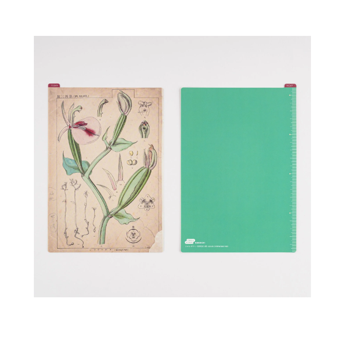 Hobonichi Pencil Board / Underlay Tomitaro Makino Botanical