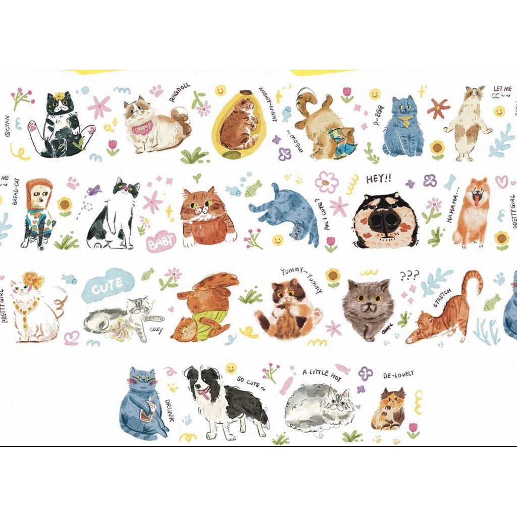 Cyan Creator Washi and Pet Sampler 100cm/loops