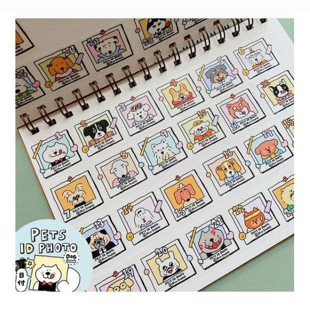 Rin! Studio Washi Sampler For Decoration / Loops