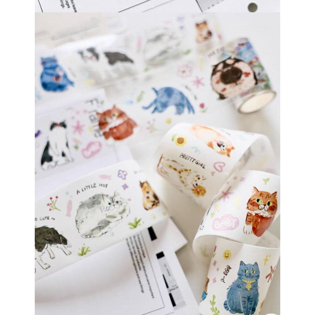 Cyan Creator Washi and Pet Sampler 100cm/loops