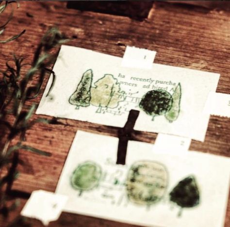 Chamil Garden 5th Anniversary Rubber Stamp Set - Tree CH207