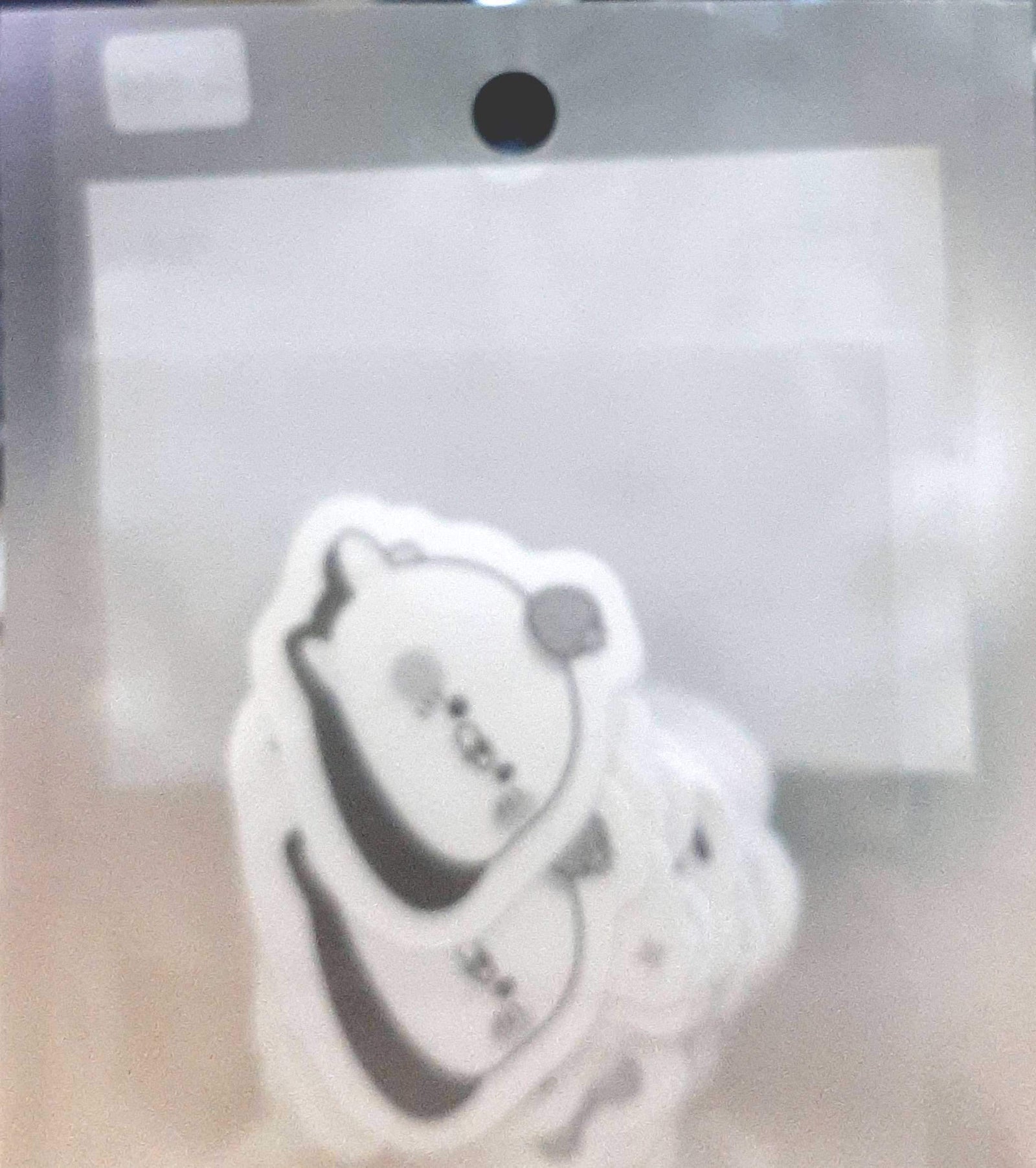 Sea Lion Flake Stickers