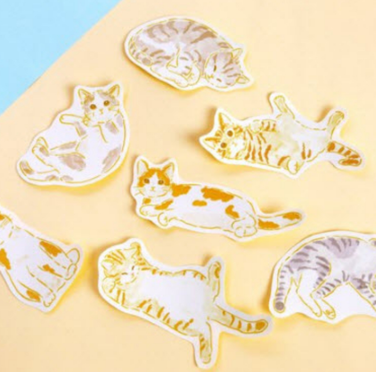 Flake Sticker Meow Meow Star - The Cat