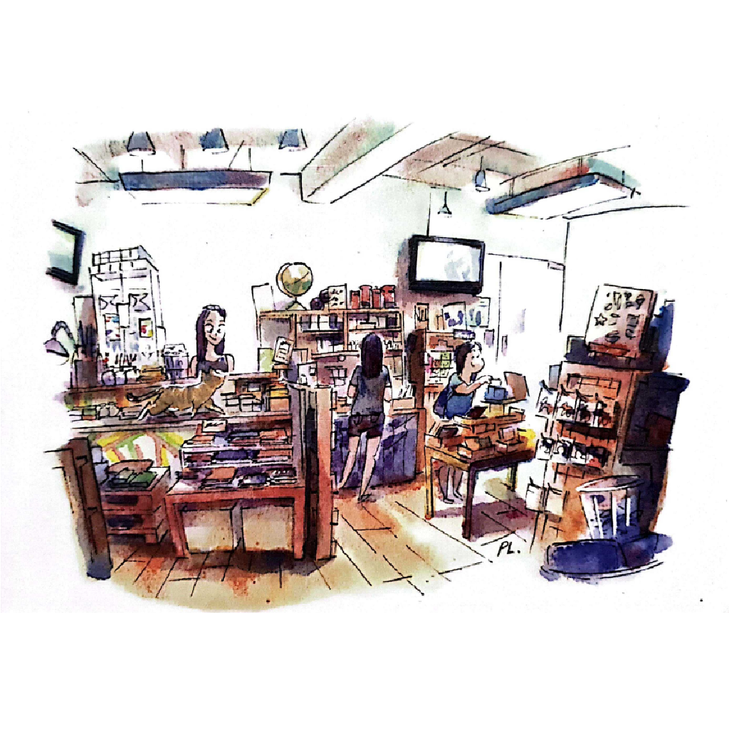 Store And The Cat - Postcard