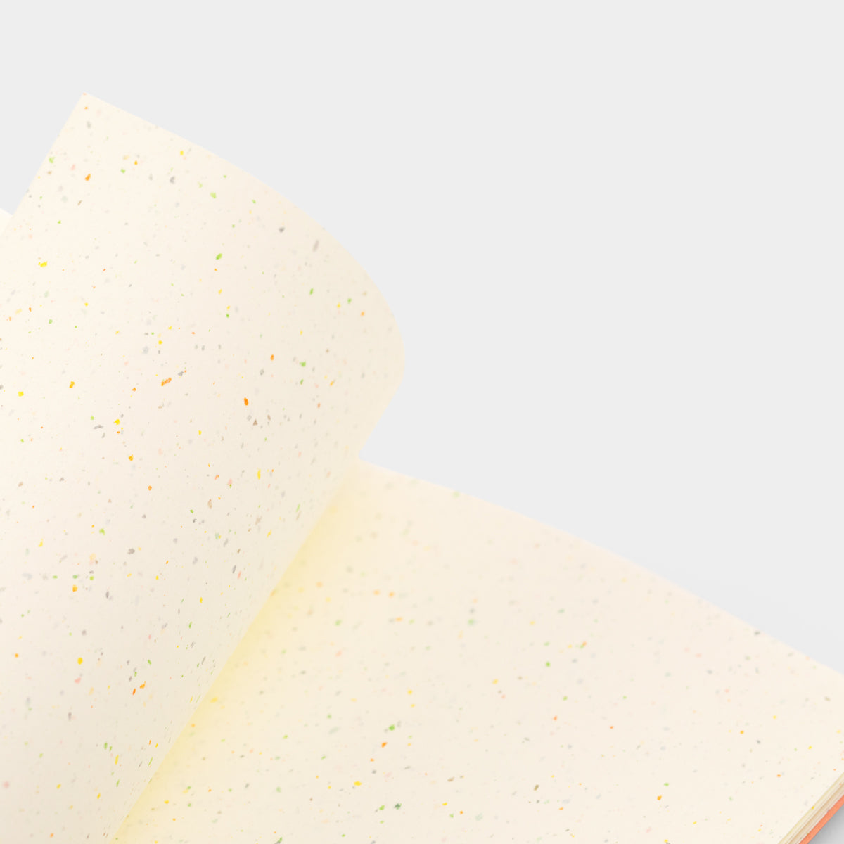 Traveler&#39;s Factory 10th Anniversary Notebook Refill ST Paradise