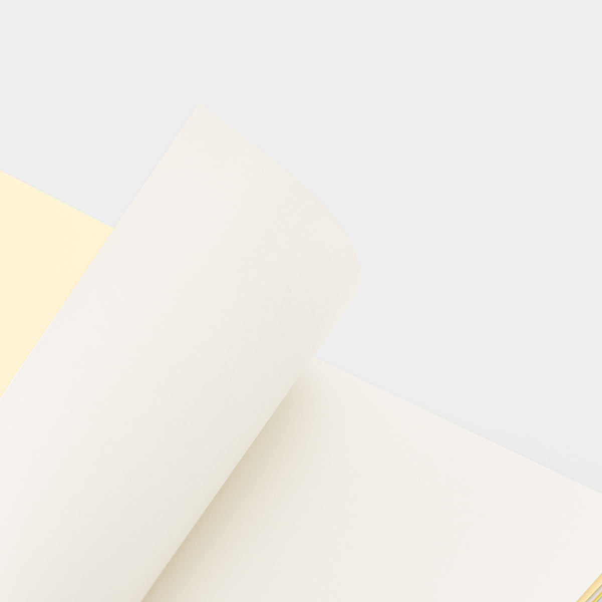 Traveler&#39;s Factory 10th Anniversary Notebook Refill ST Seal Sheet