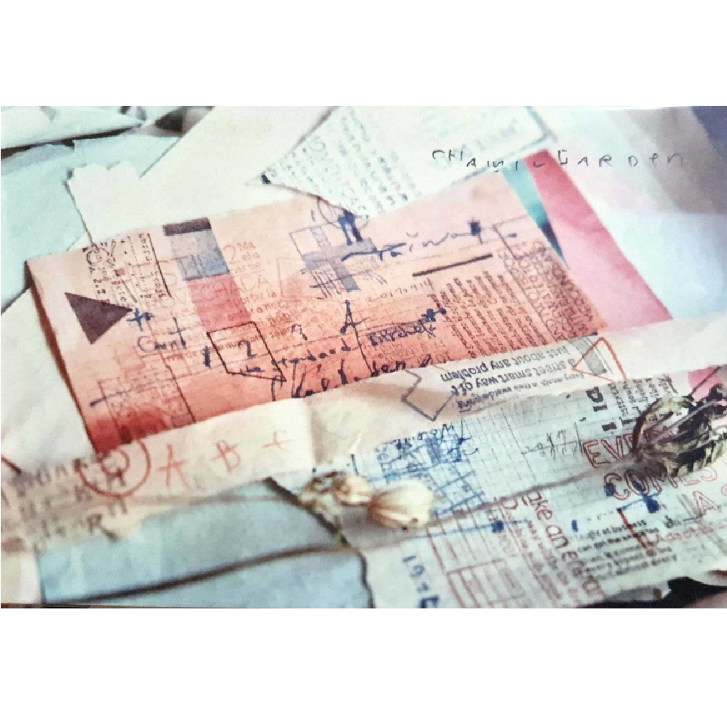 Chamil Garden - Postcard