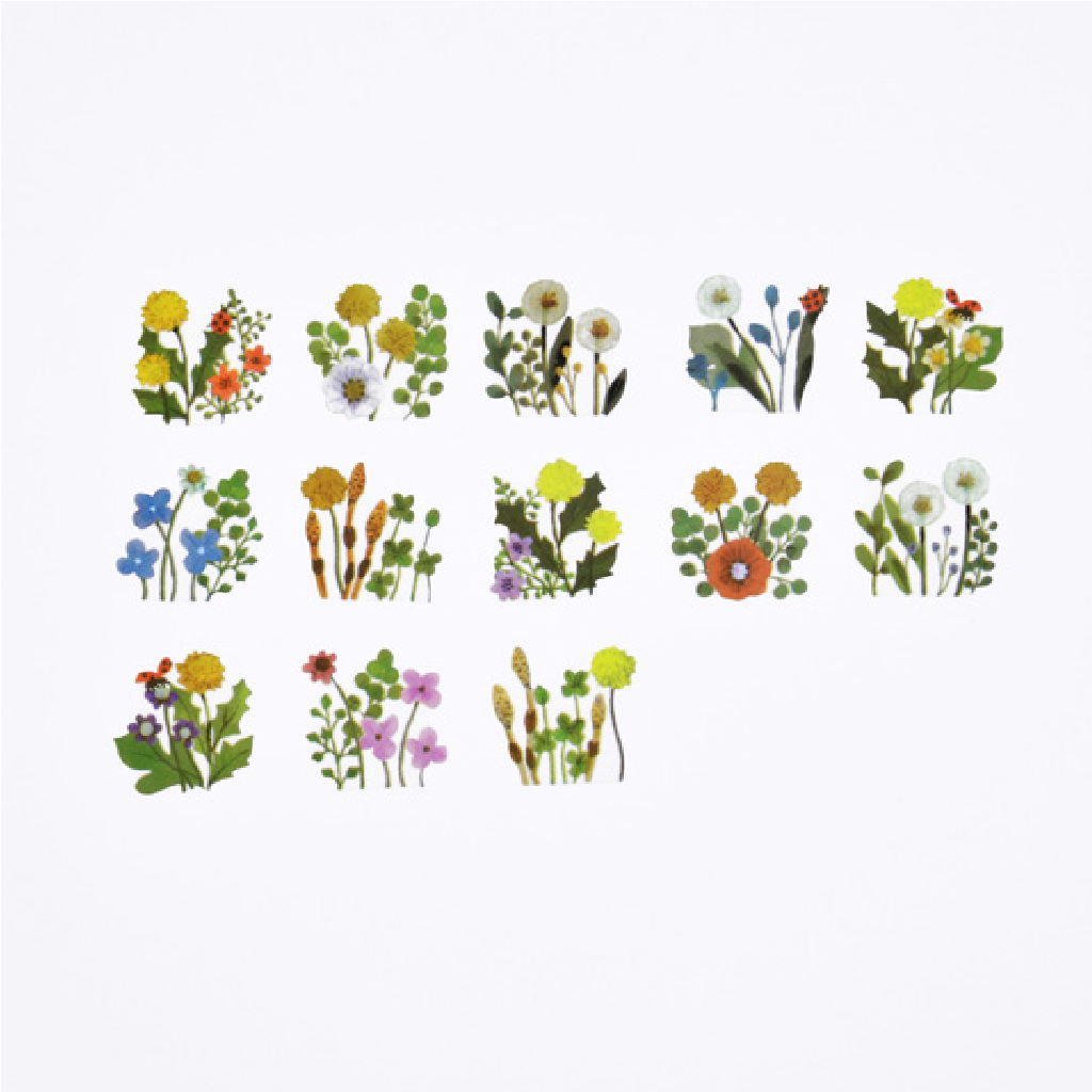 Bande Masking Roll Sticker Dandelion