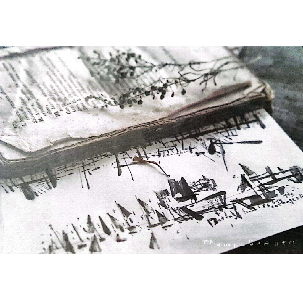 Chamil Garden The Cottage - Postcards