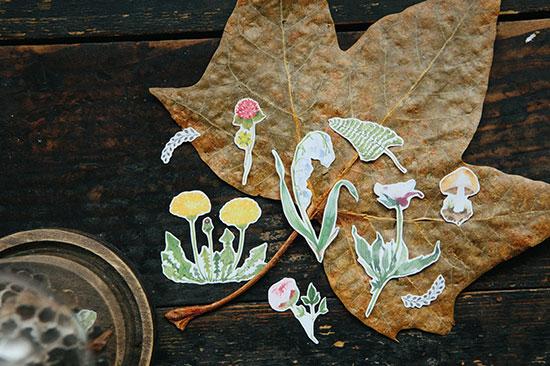 OURS Sticker Paper PLANTS