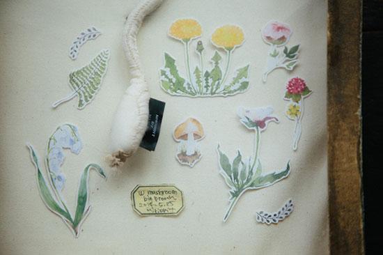 OURS Sticker Paper PLANTS