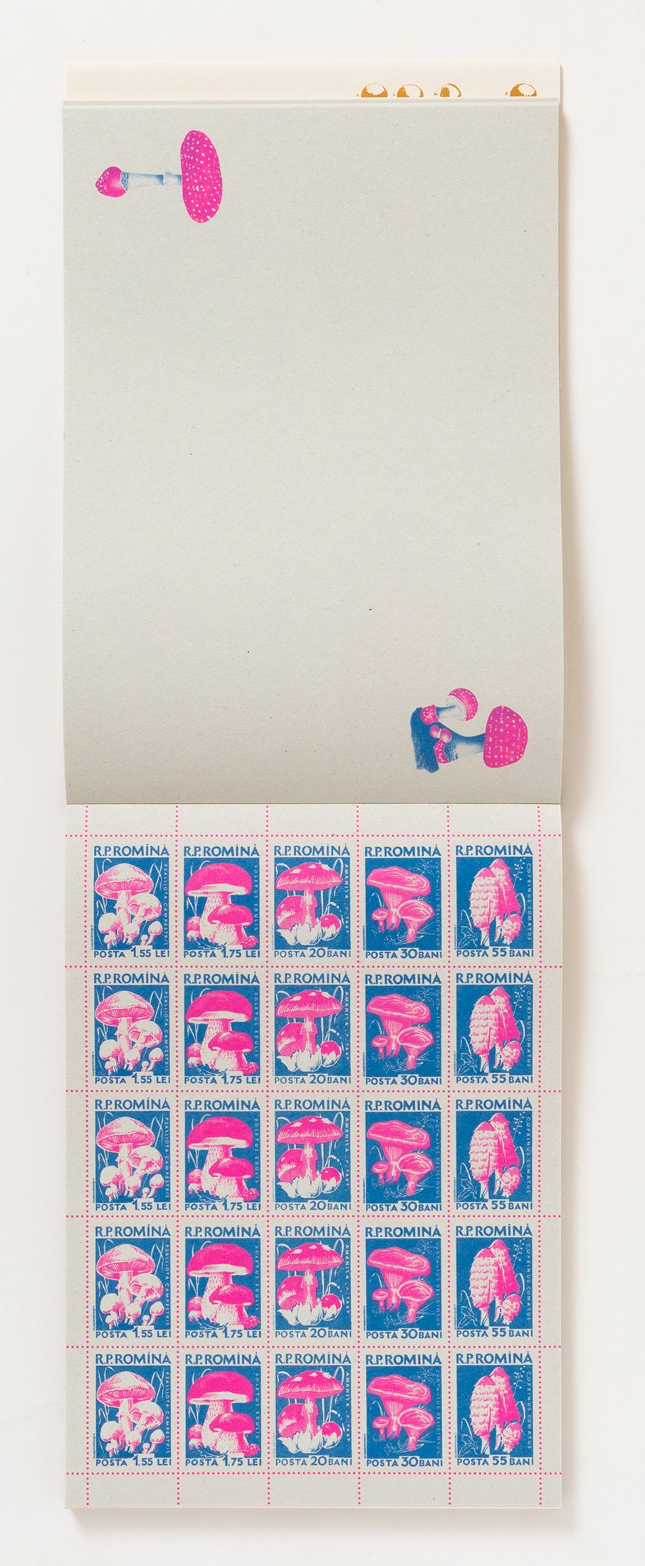 100 Writing and Crafting Papers of Mushrooms (Japanese Edition)