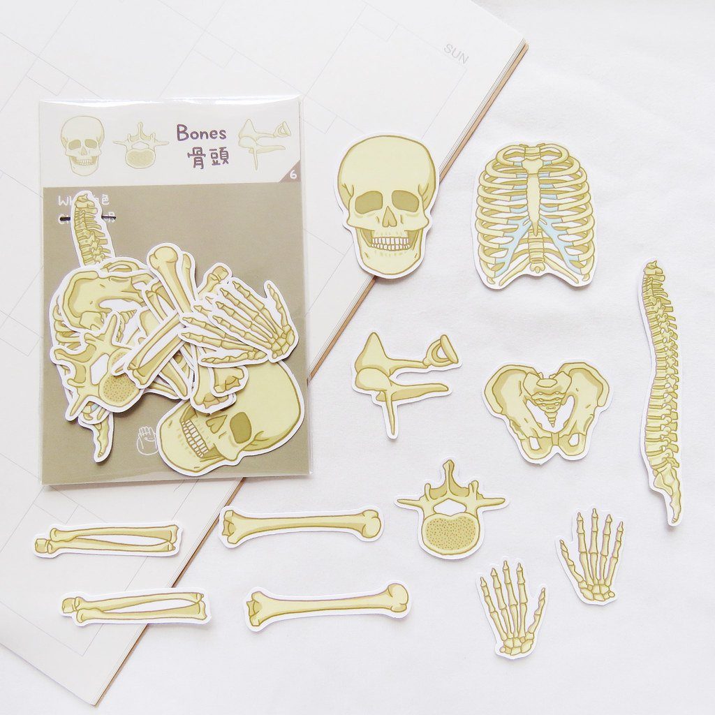 Lorak's Handmade Biology Bones Skull Sticker Set