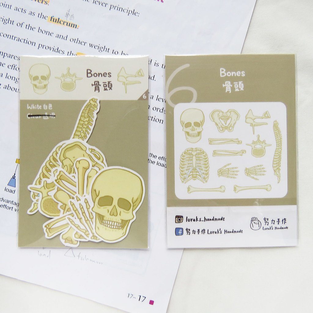 Lorak&#39;s Handmade Biology Bones Skull Sticker Set