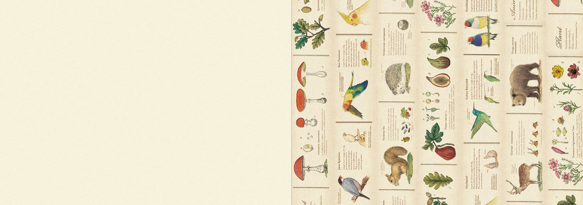 MT 100 Writing and Craft Papers