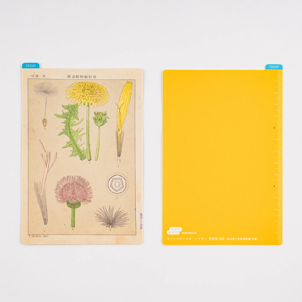 Hobonichi Pencil Board / Underlay Tomitaro Makino Botanical