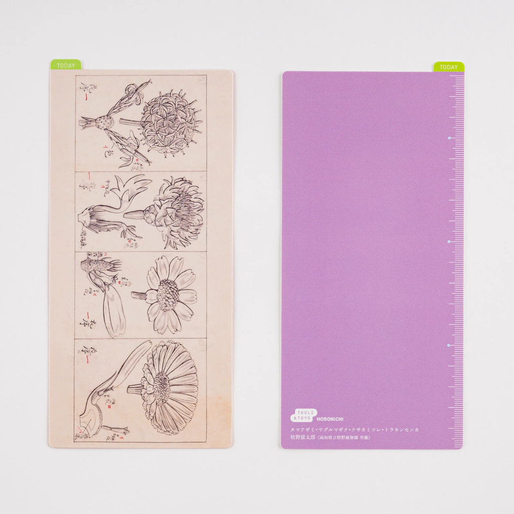 Hobonichi Pencil Board / Underlay Tomitaro Makino Botanical