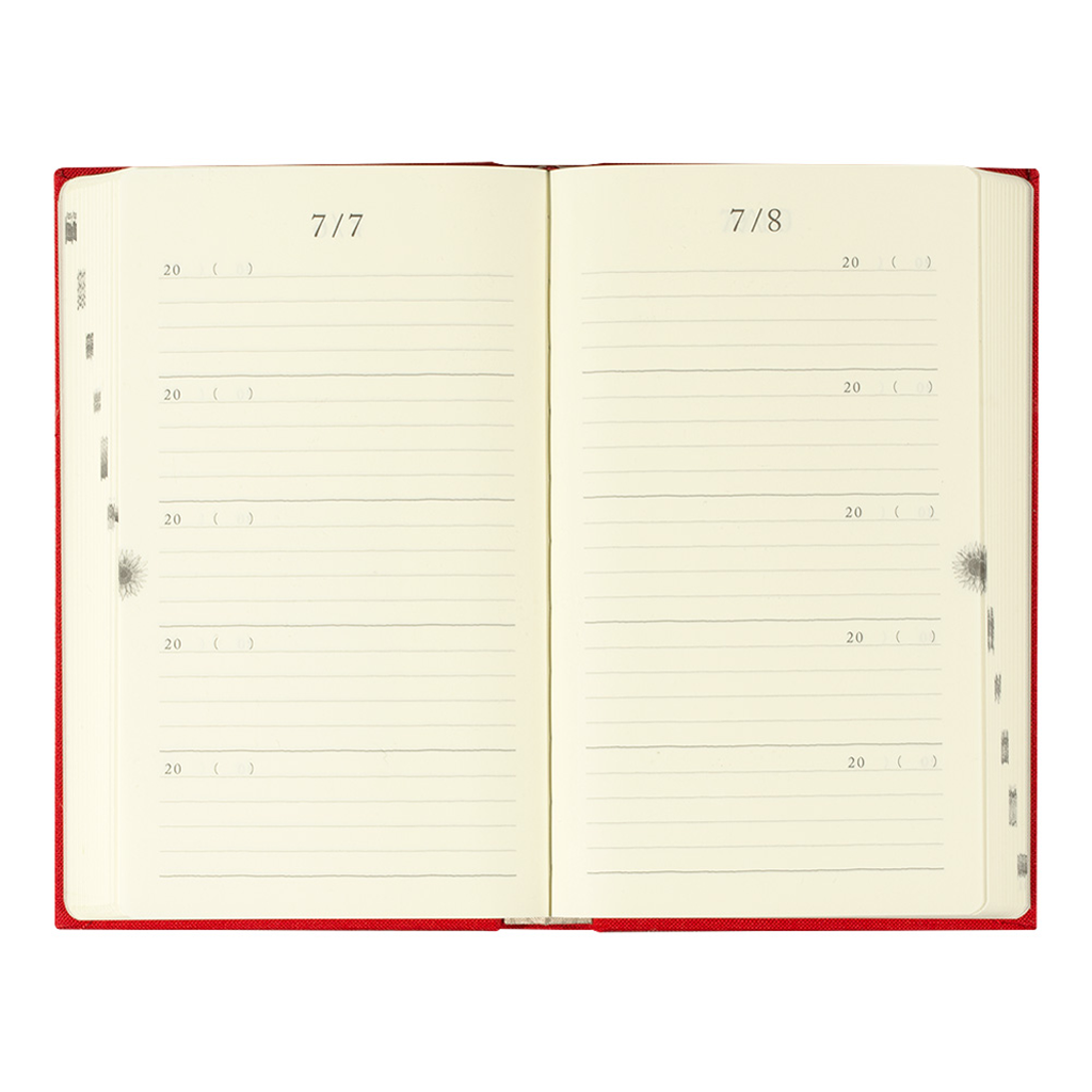 Midori 5 Years Diary Door Red