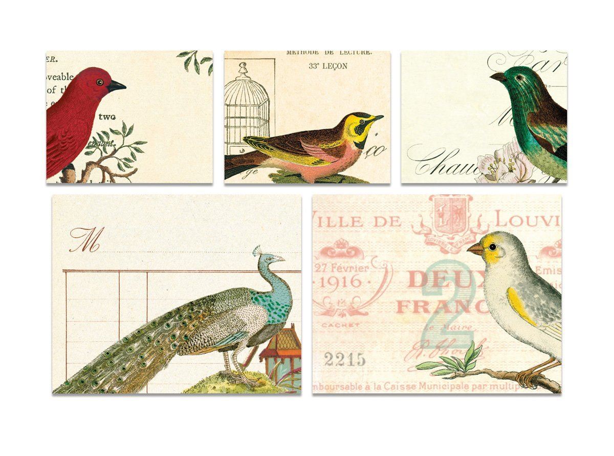 Cavallini &amp; Co. Birds Sticky Notes