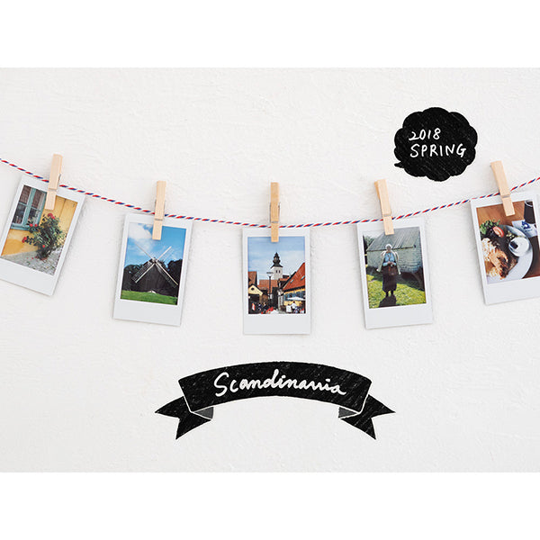 Midori Wall Sticker Static Electricity Balloon Pattern