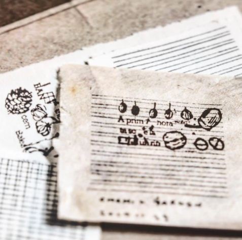 Chamil Garden 5th Anniversary Rubber Stamp Set - Fruit CH205