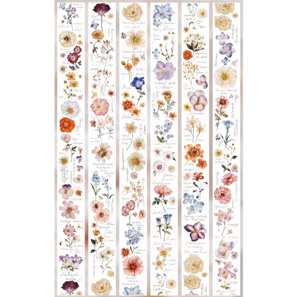 Freckles Tea PET Sampler Flower Illustration