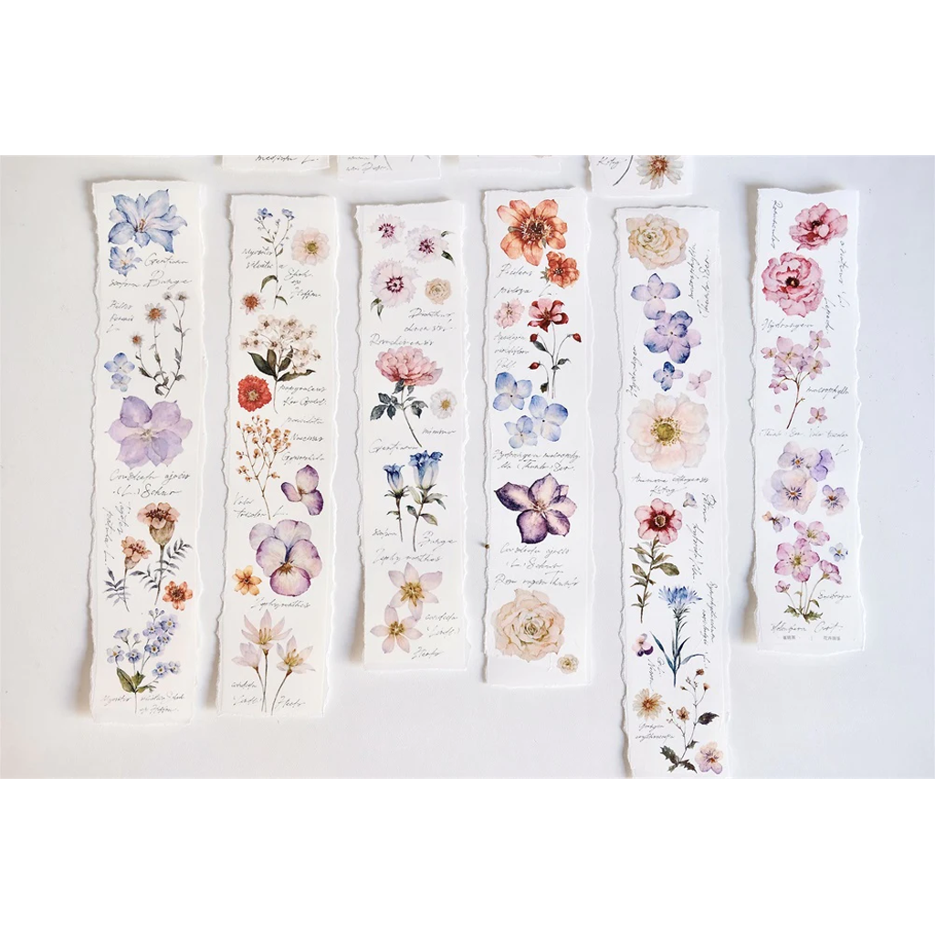 Freckles Tea PET Sampler Flower Illustration