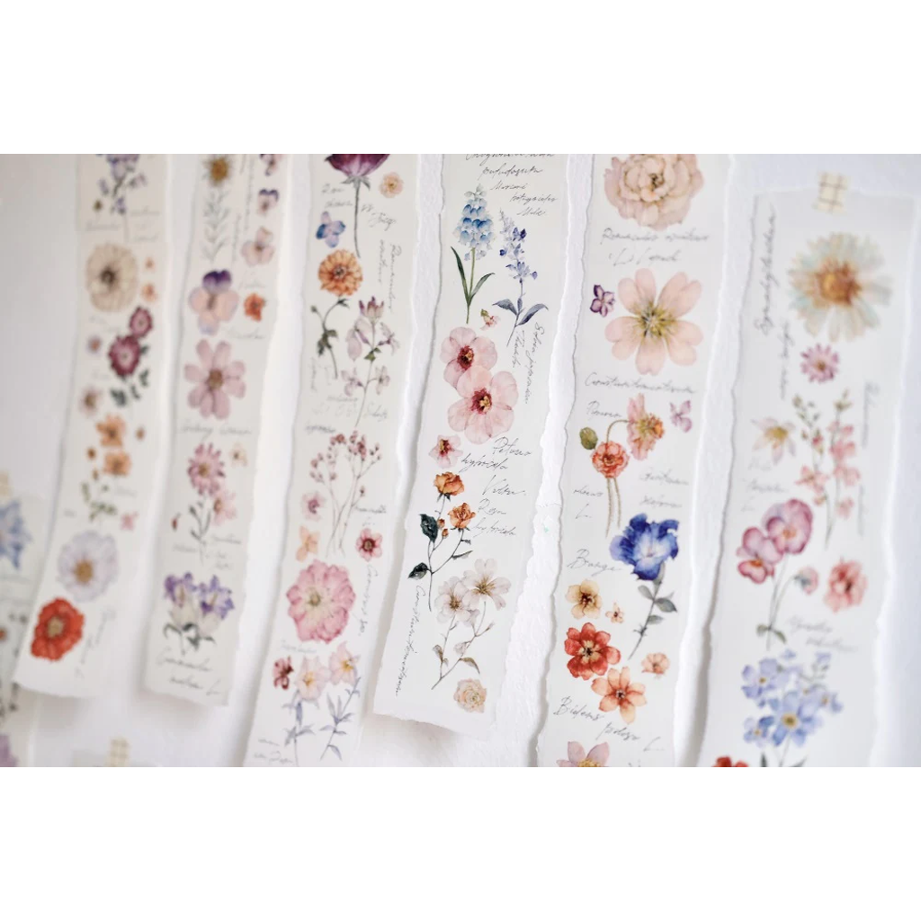 Freckles Tea PET Sampler Flower Illustration