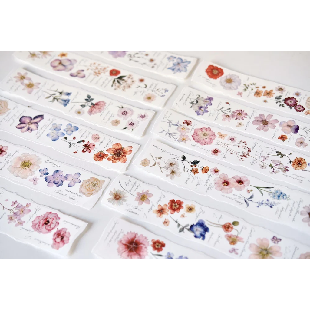 Freckles Tea PET Sampler Flower Illustration