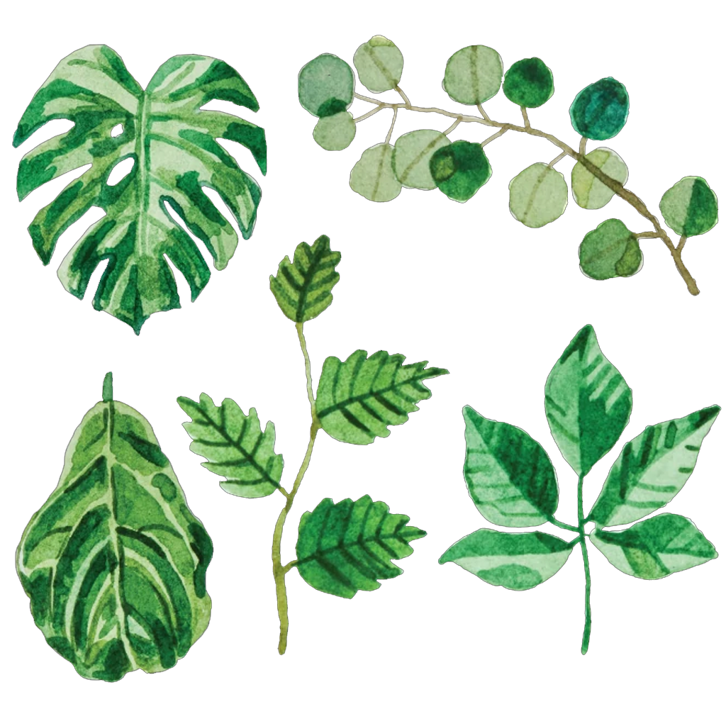 Mossery Artist Series Stickers Foliage
