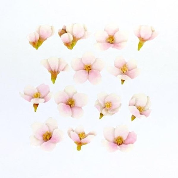 Bande Washi Roll Sticker Sorrowful