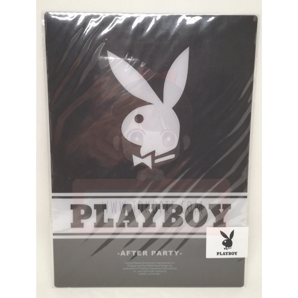 Kamio Japan Cute Model Playboy Shitajiki Plastic Sheet