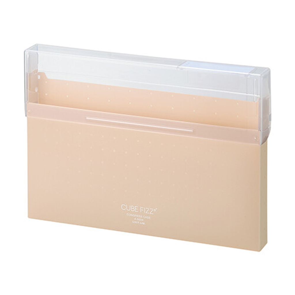 LIHIT LAB. CUBE FIZZ Congress Case File Case A4 Beige