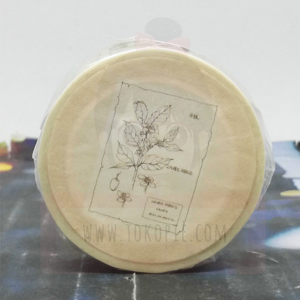 Merry Masking Tape - Botanical Garden