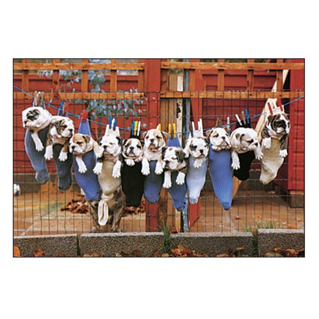 Active Corporation Bulldog Postcard