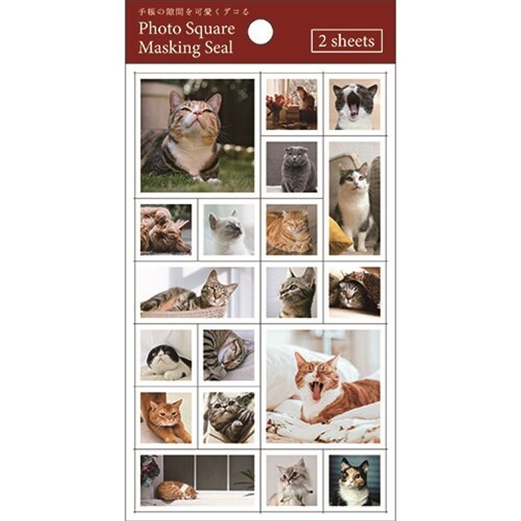 Pine Book Masking Sticker Photo Square Cat