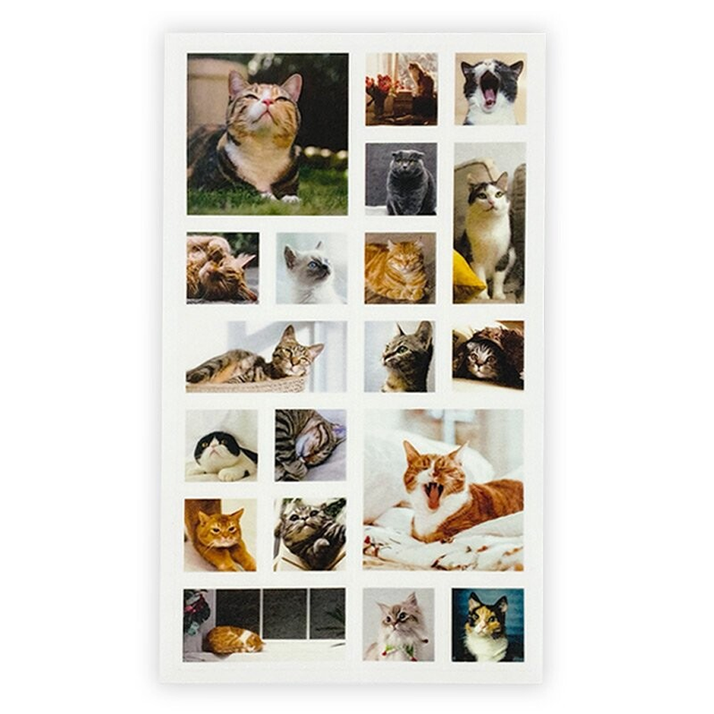 Pine Book Masking Sticker Photo Square Cat