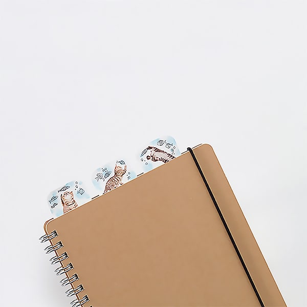 Bande Cat and Fish Index Seal