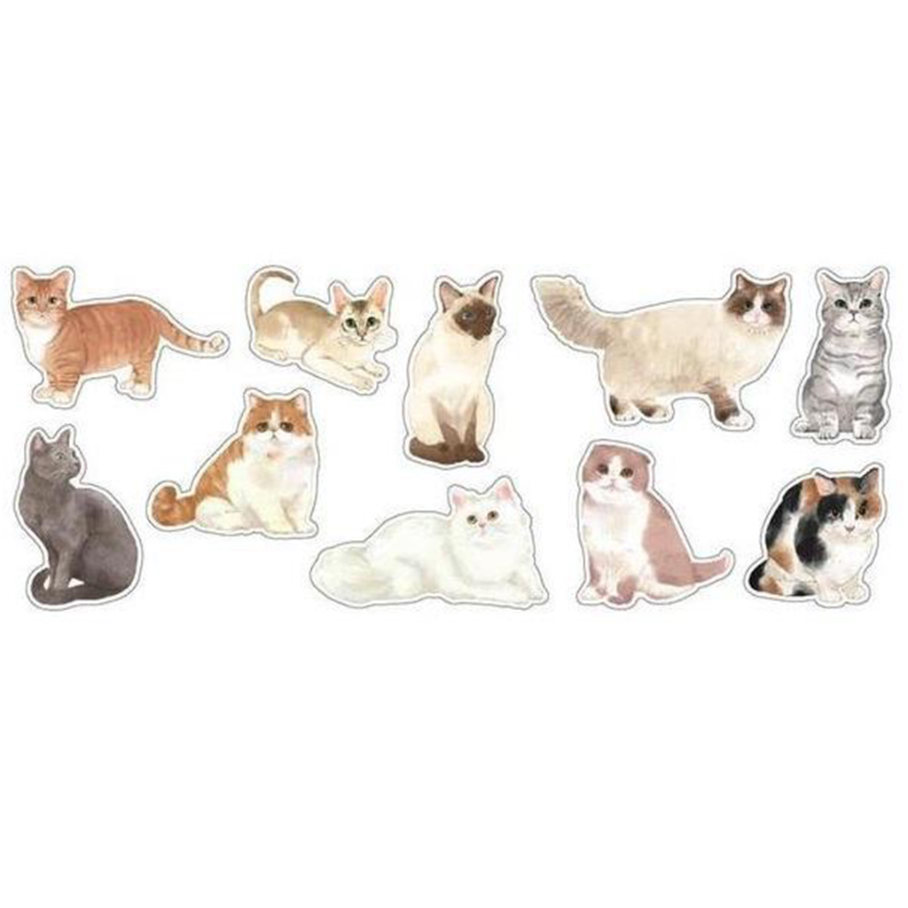 Mind Wave Cats Pictorial Sticker