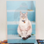 Active Corporation Cat Focus On Stairs Postcard