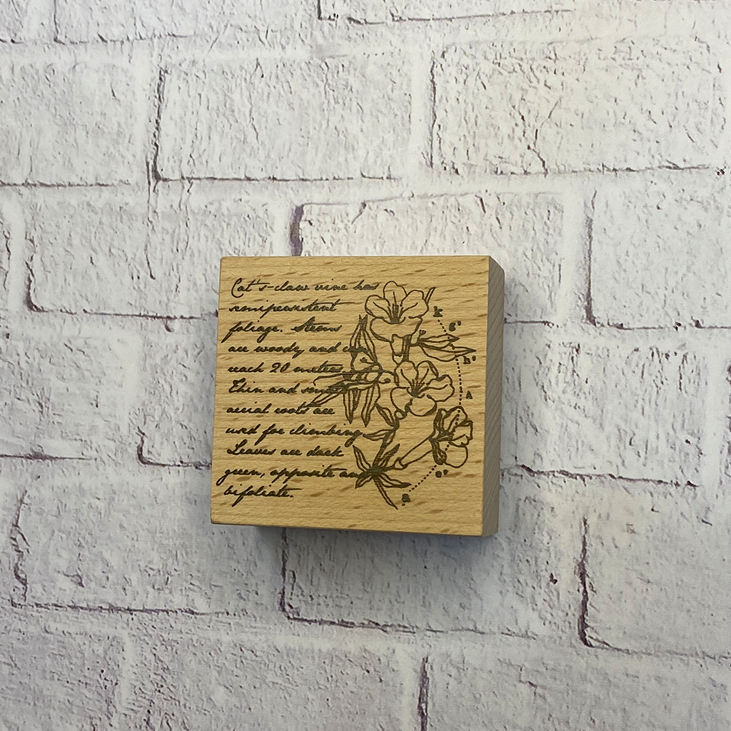 Yowoo Studio Rubber Stamp - Cat's Claw Vine