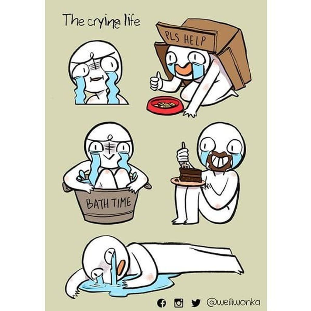 The Crying Life Sticker