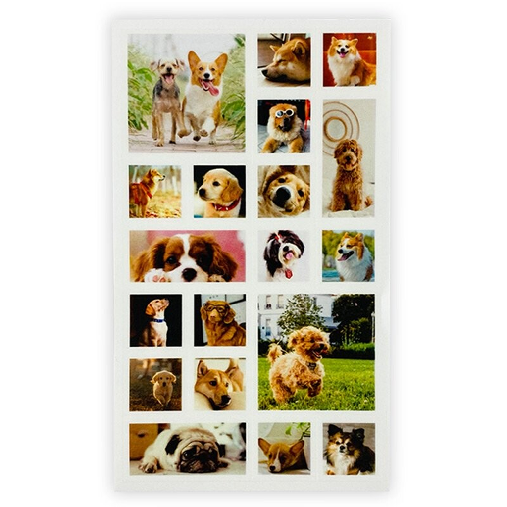 Pine Book Masking Sticker Photo Square Dog