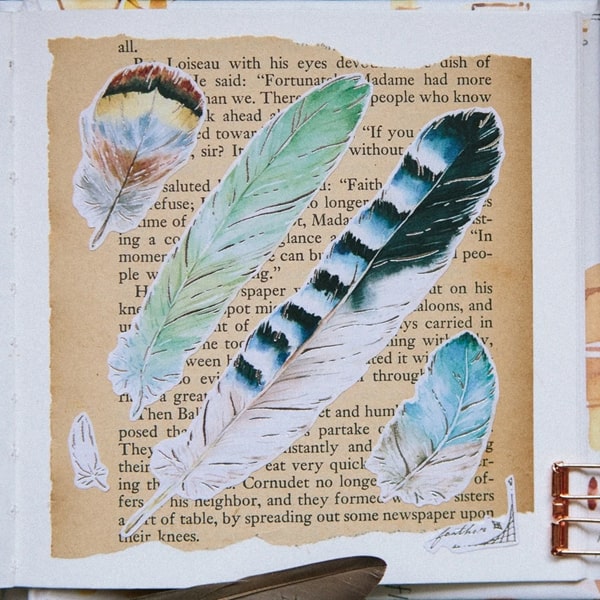 OURS Sticker Feather