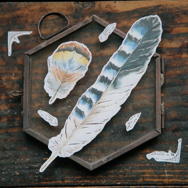 OURS Sticker Feather