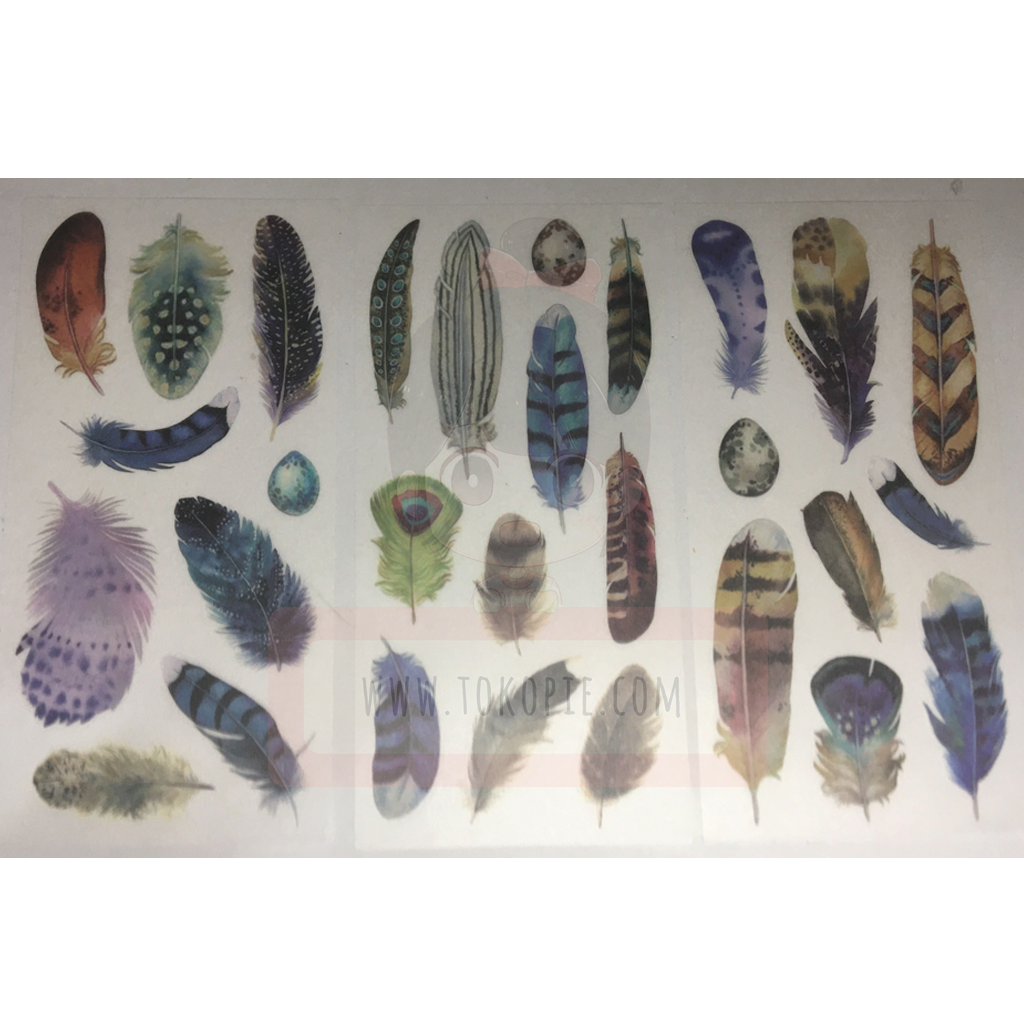 Various Beautiful Feather Sticker